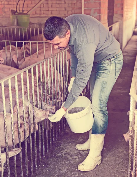 Retrato de agricultor masculino — Fotografia de Stock