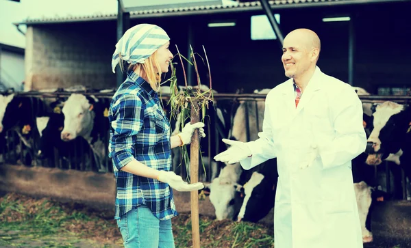 Lavoratrice e veterinaria matura in azienda — Foto Stock