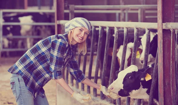 Porträtt av veterinärmedicinska tekniker — Stockfoto