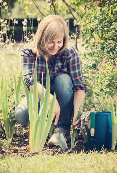 Mulher madura plantando lírio em garde — Fotografia de Stock