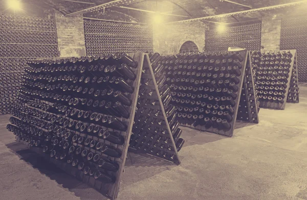 Wine  bottles  in winery cellar — Stock Photo, Image