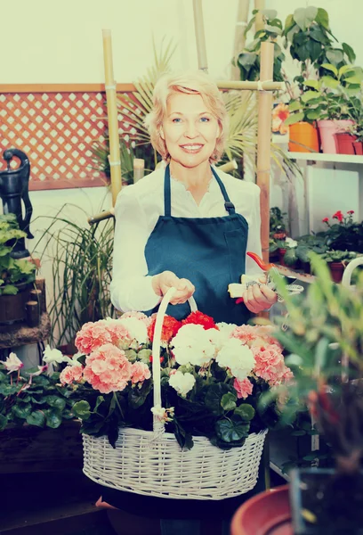 Florist with multicolored hortensia flowers — Stock Photo, Image