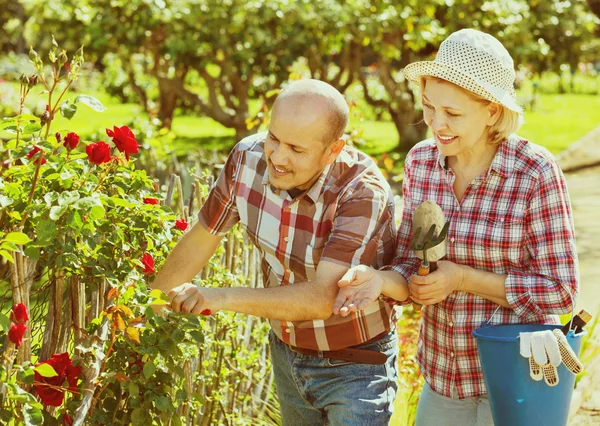 Senior koppel op zoek naar bloemen — Stockfoto