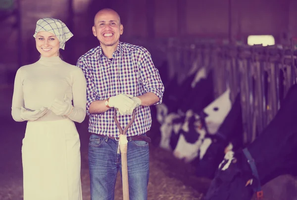 Agricultores de pé juntos em cowshed — Fotografia de Stock