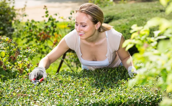 Vrouw verzorgen van struiken in de tuin — Stockfoto