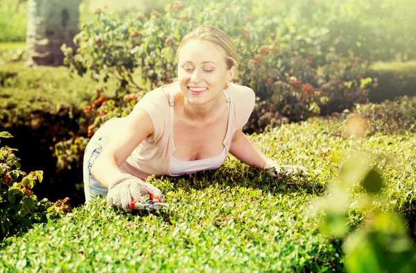 Vrouw die werkt met groene bush — Stockfoto