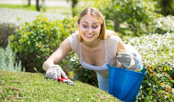 Donna che si prende cura di cespugli in giardino — Foto Stock