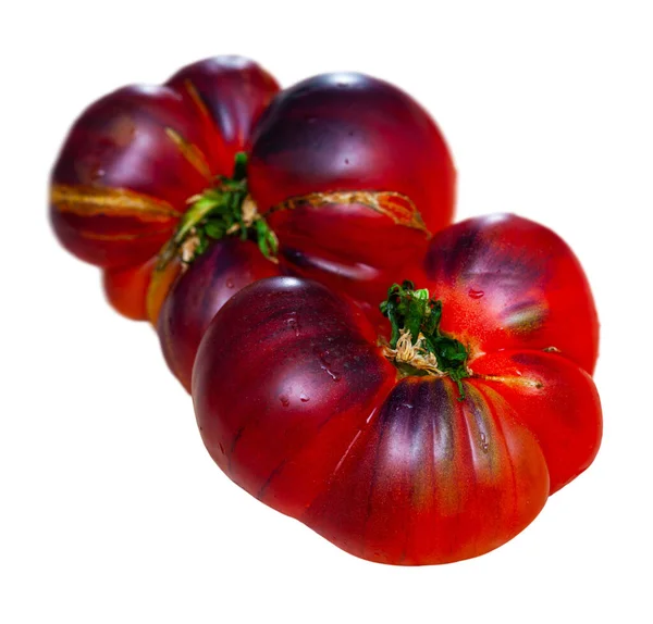 Frische Bio-Tomaten — Stockfoto