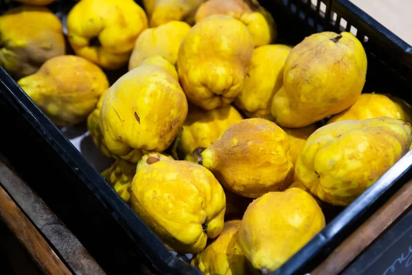 Image d'aiva fraîche sur le comptoir sur le marché alimentaire — Photo