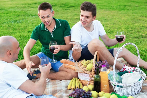 Tres hombres adultos disfrutando de picnic al aire libre en el día de verano —  Fotos de Stock