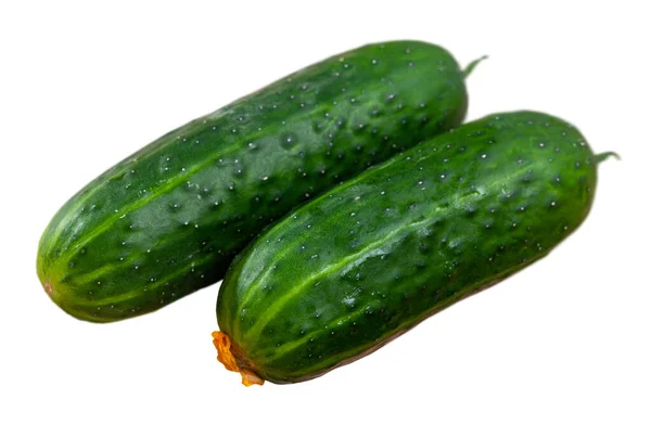 Rijp sappige komkommers close-up — Stockfoto