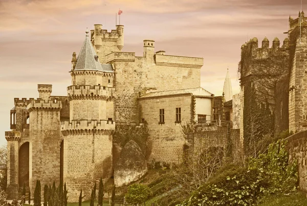 Castillo de fantasía. Foto de alta calidad — Foto de Stock