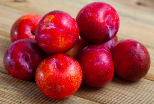 Gambar plum merah matang segar, panen dari kebun — Stok Foto