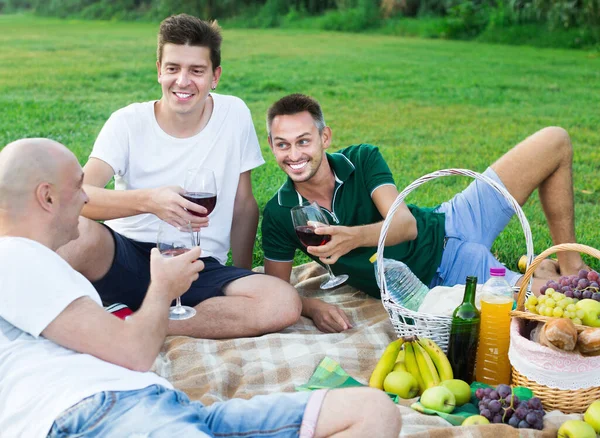 Três amigos homens sorridentes desfrutando da vida no piquenique ao ar livre — Fotografia de Stock