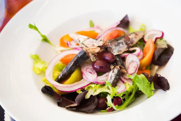 新鲜蔬菜沙拉加腌制沙丁鱼 — 图库照片