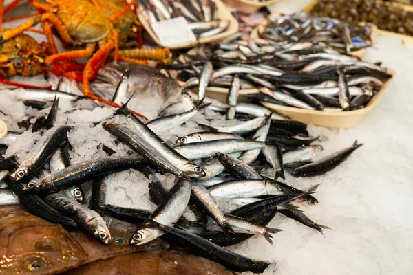 Pile of fresh anchovies fishes laying on the ice on the market — Stock Photo, Image