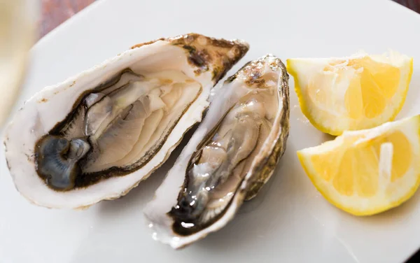 Deilige østers med sitron på tallerkenen – stockfoto