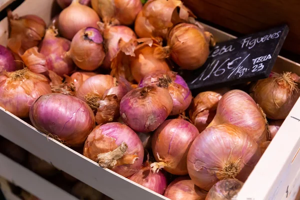 Cebolla fresca en contador de mercado — Foto de Stock