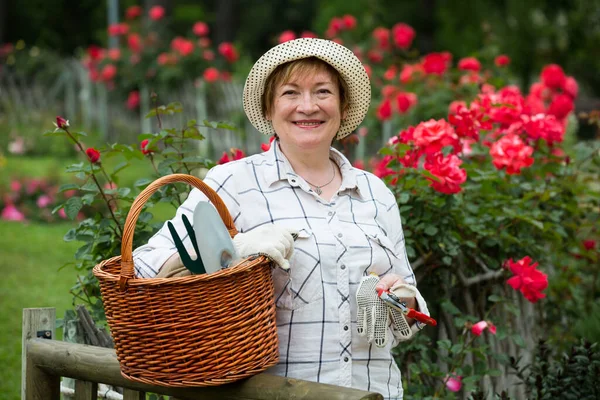 Retiree gardener basket — Stock Photo, Image