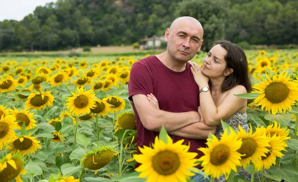 Pár na slunečnicovém poli — Stock fotografie