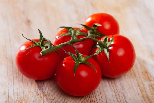 Tak rijpe tomaten — Stockfoto