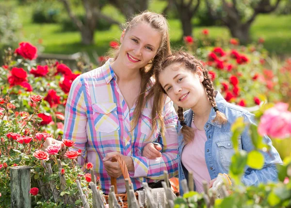 Woman and girl holding a basket and standing near blooming roses — Stock Photo, Image