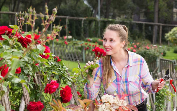 Jovem com cabelos longos encaracolados cheira a flores de rosas ao ar livre — Fotografia de Stock