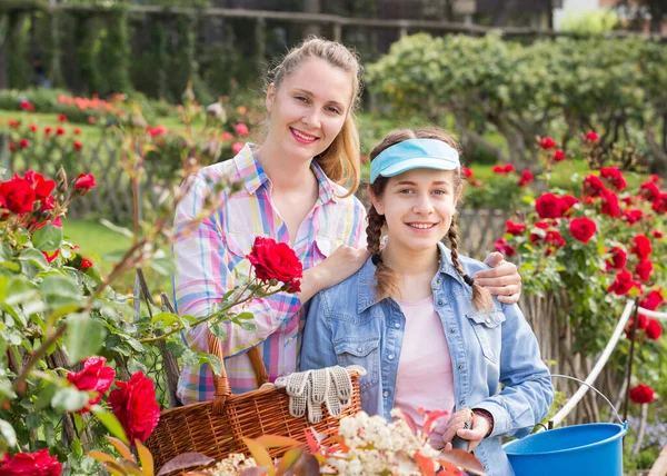 Donna e adolescente in possesso di un cesto e in piedi nel parco di rose. — Foto Stock