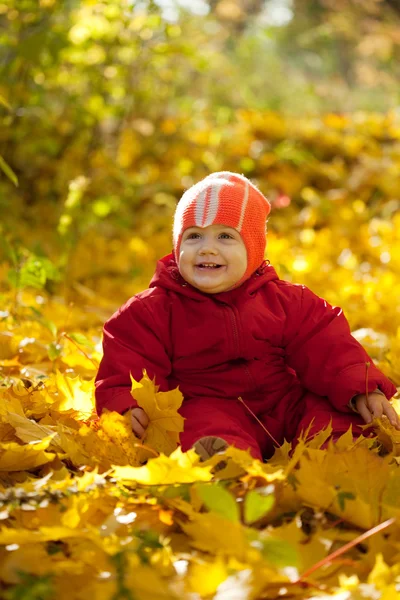 Toddler  in autumn park — Stock Photo, Image