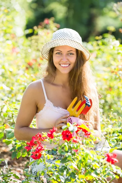 Vrouw tuinieren met rozen — Stockfoto