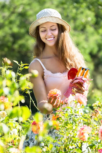 Menina em rosas planta no jardim — Fotografia de Stock