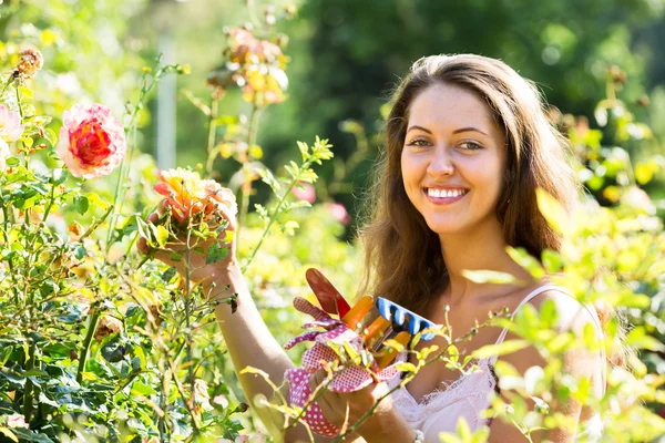 Vrouwelijke bloemist in zomertuin — Stockfoto