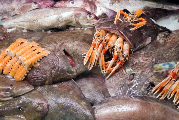 Nyers Goosefish és egyéb tengeri eredetű — Stock Fotó