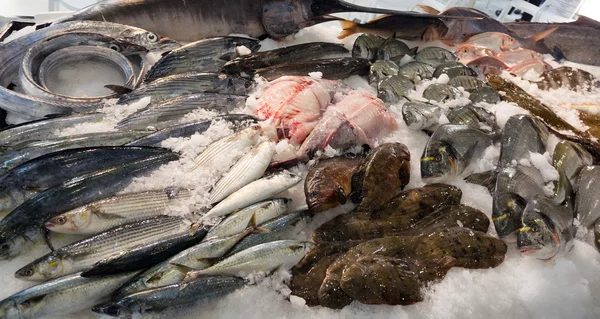 Peixe no mercado mediterrânico — Fotografia de Stock