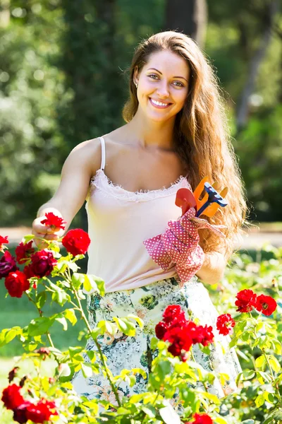 Fiorista femminile nel giardino estivo — Foto Stock