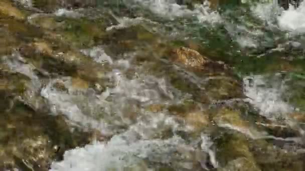 Waterval in de bergen — Stockvideo