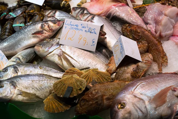 Raw  fish   on spanish market — Stock Photo, Image