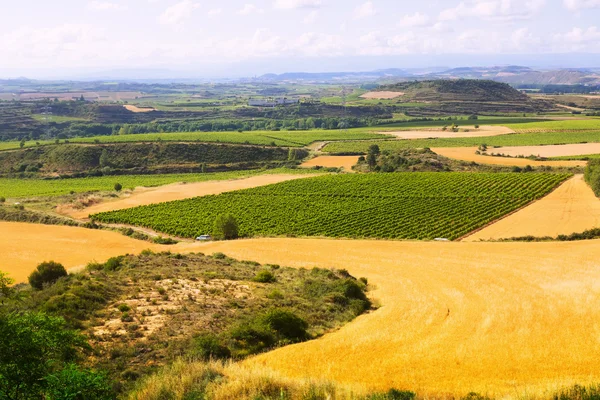 Rural  landscape near Haro in  La Rioja — Stock Photo, Image