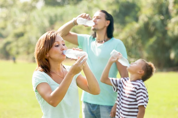 Sıradan aile üç içme suyu — Stok fotoğraf