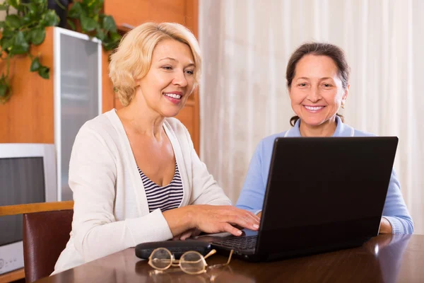 Pensioners with laptop — Stock Photo, Image
