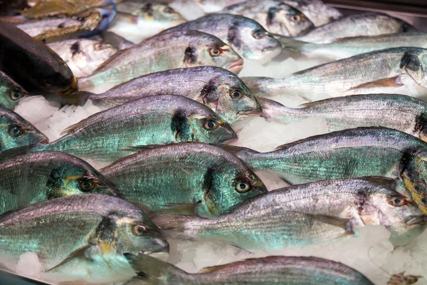 Fish on market — Stock Photo, Image