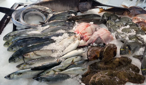 Fish on market — Stock Photo, Image