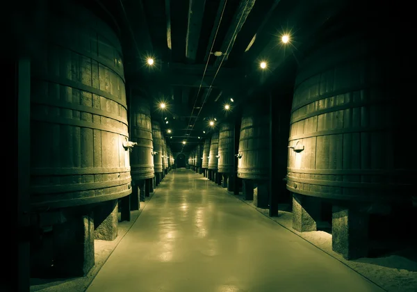 白酒酒窖 — 图库照片