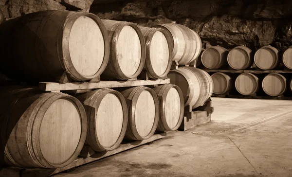Winery cellar with barrels — Stock Photo, Image