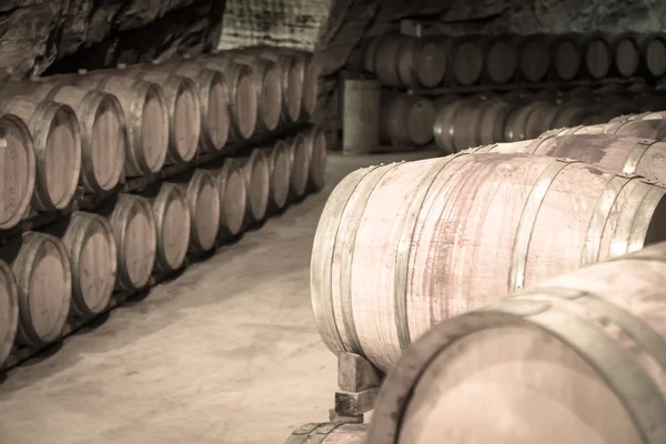 Winery piwnicy z drewnianych beczek — Zdjęcie stockowe