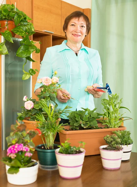 Зрелая женщина работает с цветами — стоковое фото