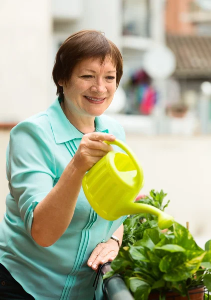 Volwassen vrouw binnenlandse planten water geven — Stockfoto