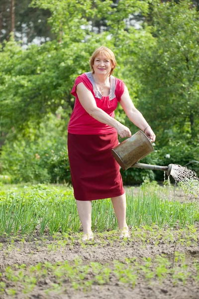 Mature woman watering vegetables — Stock Photo, Image