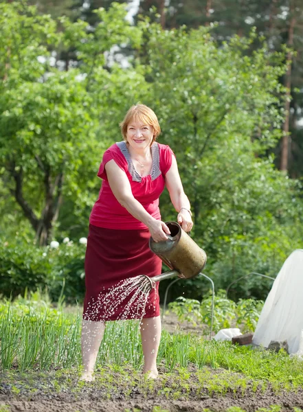 Mature woman watering plant — Stock Photo, Image