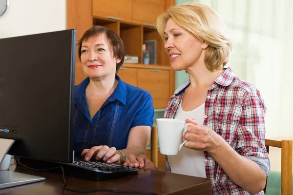 Two aged collegues with PC — Stock Photo, Image